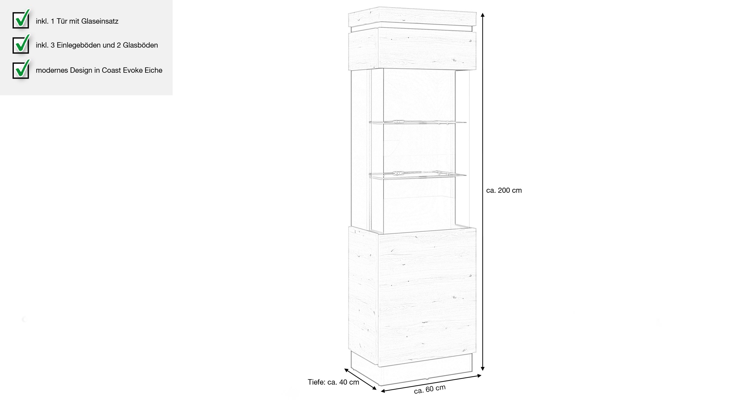 Vitrine mit Glastür Coast Evoke Eiche - grau Breite 60 cm - CORTE